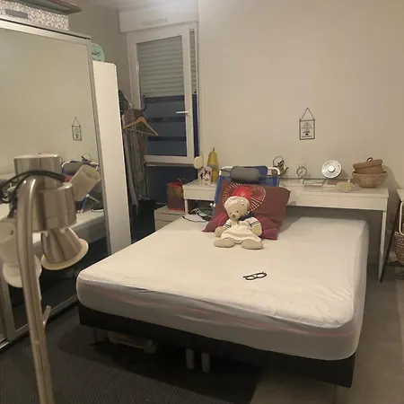Beau F6 Centre De Appartement *
